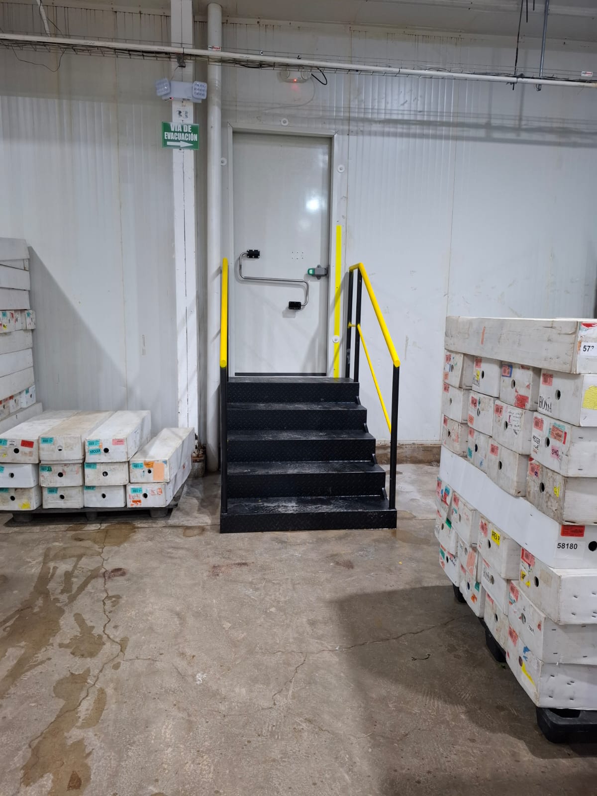Instalación puerta y escalrera 